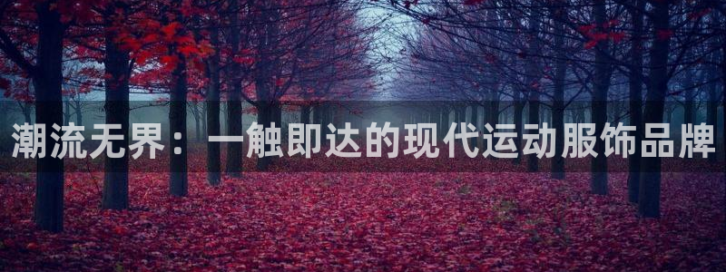 尊龙官方正版app娱乐平台：潮流无界：一触即达的现代
