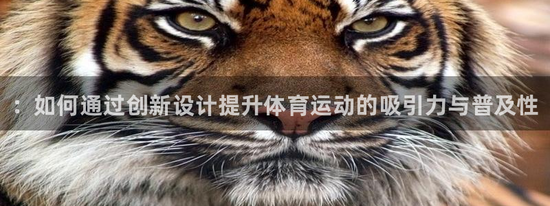 尊龙官网下载平台注册：：如何通过创新设计提升体育运动