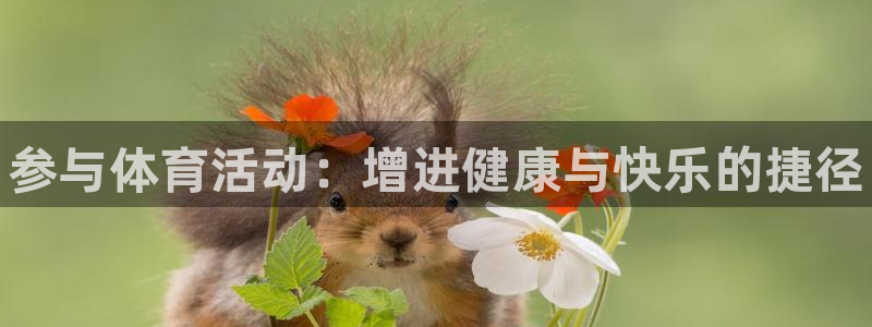 德国尊龙官方正版app集团：参与体育活动：增进健康与