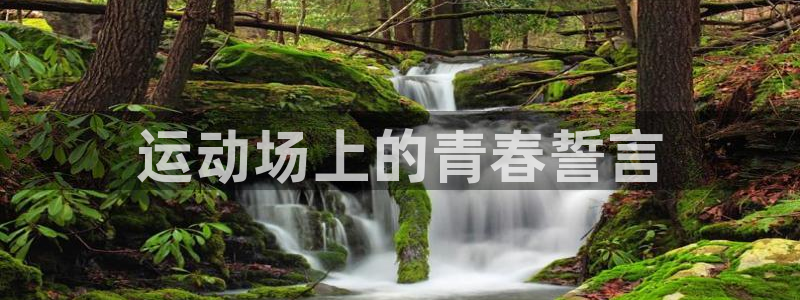 尊龙官网下载招商电话是多少号码：运动场上的青春誓言