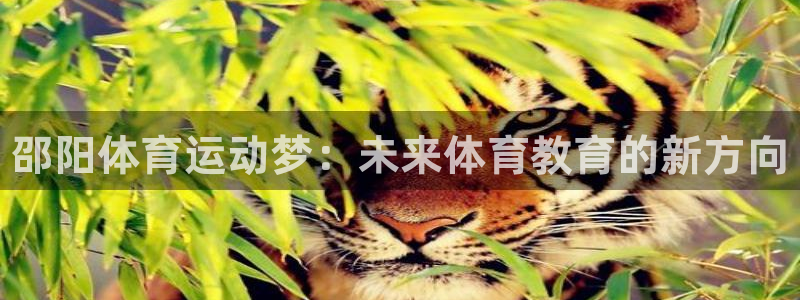 尊龙官方正版app娱乐：邵阳体育运动梦：未来体育教育