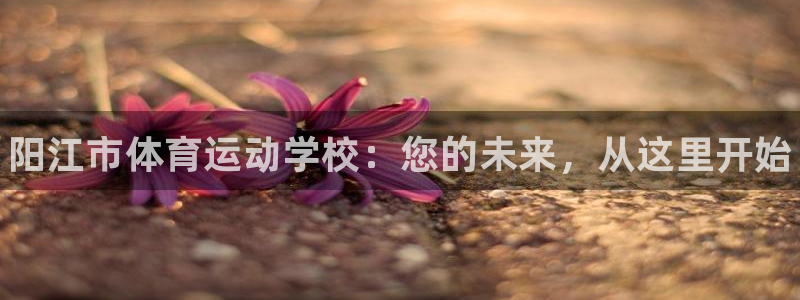 尊龙官方正版app娱乐代理怎么样：阳江市体育运动学校