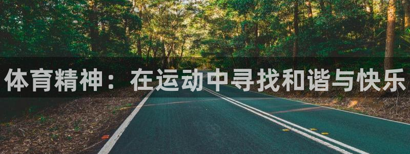 尊龙官网下载是干嘛的公司：体育精神：在运动中寻找和谐与快乐