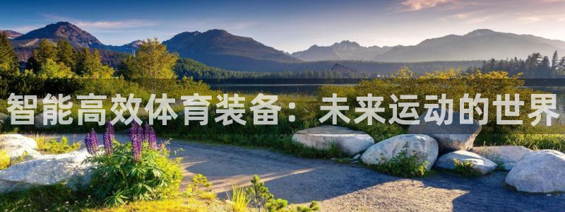 尊龙官网下载平台注册要钱吗是真的吗：智能高效体育装备