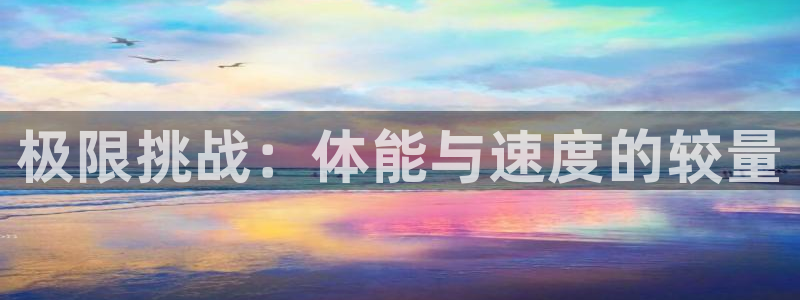 尊龙官网下载：极限挑战：体能与速度的较量