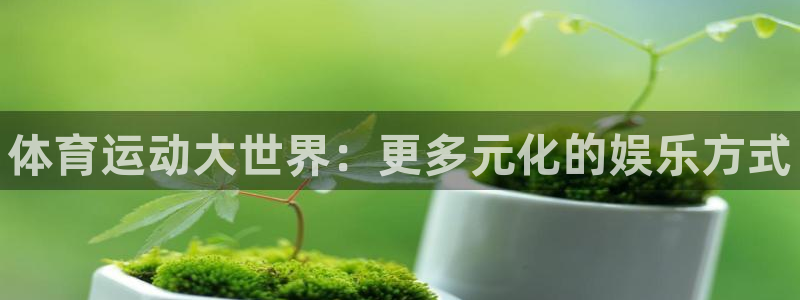 尊龙官网下载招商电话是多少：体育运动大世界：更多元化