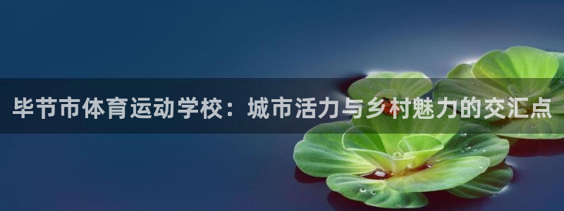 尊龙官网下载招商电话地址：毕节市体育运动学校：城市活