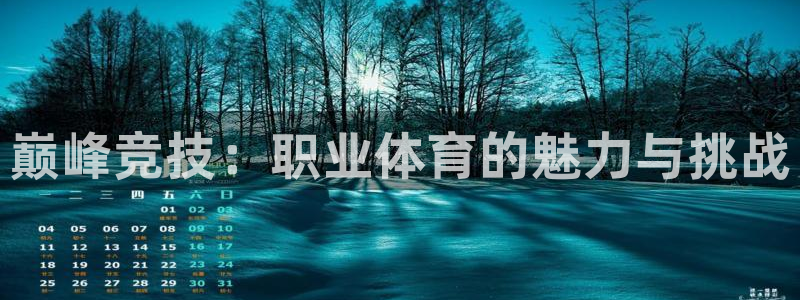 海南尊龙官网下载发展怎么样：巅峰竞技：职业体育的魅力