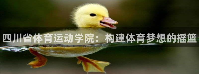 尊龙官方正版app娱乐：四川省体育运动学院：构建体育