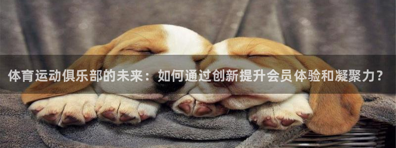 尊龙官网下载招商电话地址：体育运动俱乐部的未来：如何