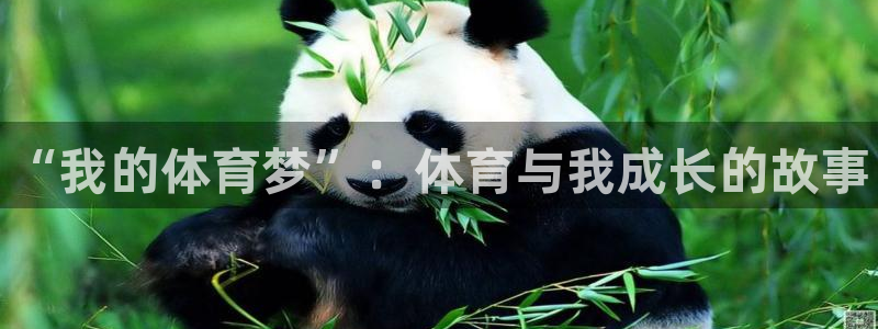 尊龙官方正版app新能源：“我的体育梦”：体育与我成