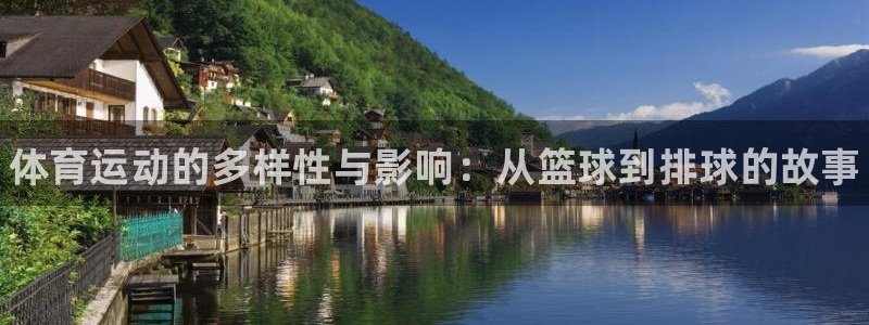 尊龙官方正版app娱乐首页网站大全：体育运动的多样性