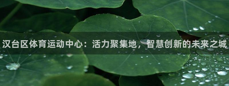尊龙官方平台体育：汉台区体育运动中心：活力聚集地，智