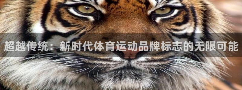 尊龙官方正版app娱乐首页网站大全：超越传统：新时代