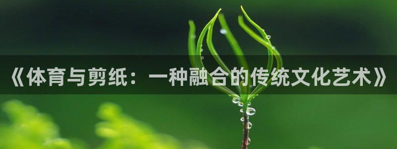 尊龙官方正版app集团：《体育与剪纸：一种融合的传统