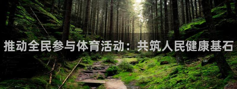 尊龙官方正版app科技：推动全民参与体育活动：共筑人