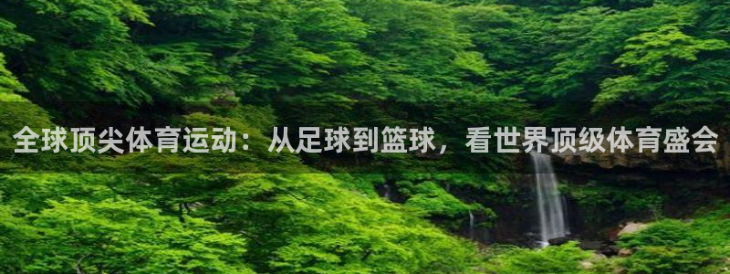 尊龙官网下载招商电话号码查询是多少：全球顶尖体育运动