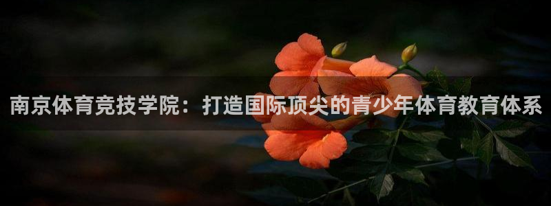 尊龙官网下载平台是正规平台吗安全吗：南京体育竞技学院