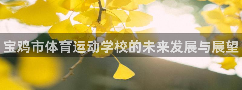 尊龙官网下载注册：宝鸡市体育运动学校的未来发展与展望