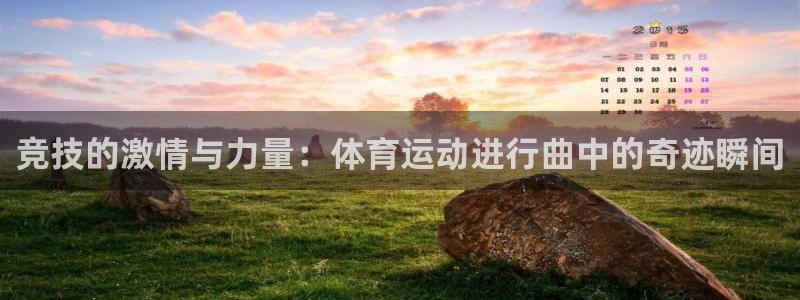德国尊龙官方正版app集团：竞技的激情与力量：体育运