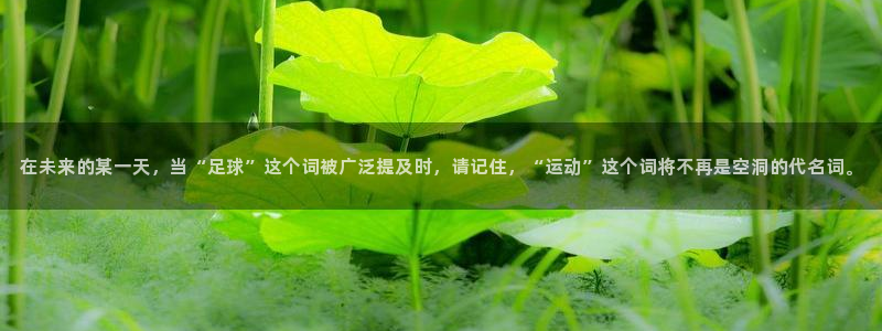 尊龙官方正版app代理：在未来的某一天，当“足球”这