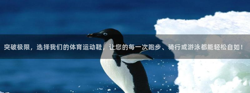 尊龙官网下载招商电话地址查询：突破极限，选择我们的体