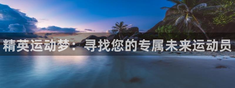尊龙官网下载软件：精英运动梦：寻找您的专属未来运动员