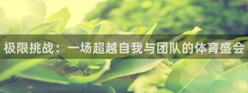 尊龙官方正版app新能源：极限挑战：一场超越自我与团
