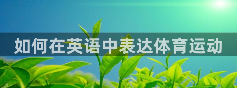 尊龙官网下载招商电话地址是多少：如何在英语中表达体育