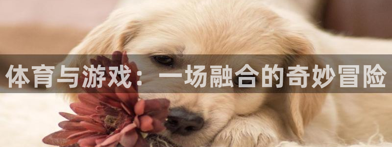 尊龙官网下载平台假的吗是真的吗：体育与游戏：一场融合的奇妙冒