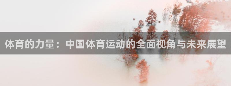 尊龙官网下载平台注册流程图：体育的力量：中国体育运动的全面视