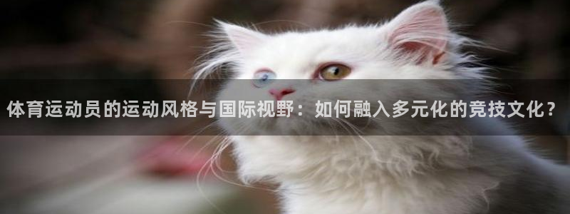 尊龙官方正版app集团E.ON