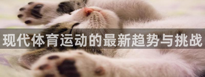 尊龙官方正版app娱乐：现代体育运动的最新趋势与挑战