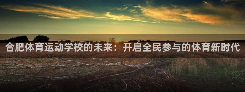 尊龙官方正版app新能源：合肥体育运动学校的未来：开启全民参
