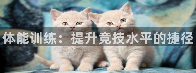 尊龙官方正版app集团：体能训练：提升竞技水平的捷径