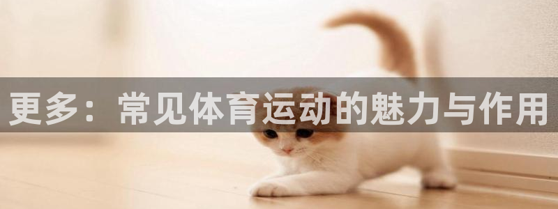 尊龙官方正版app集团官网首页：更多：常见体育运动的