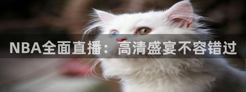 nba山猫直播在线观看免费：NBA全面直播：高清盛宴不容错过