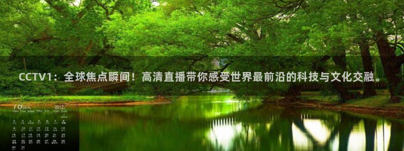 山猫体育360直播平台：CCTV1：全球焦点瞬间！高清直播带你感受世界最前沿的科技与文化交融。