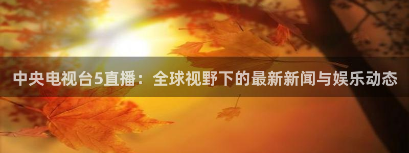山猫体育直播nba：中央电视台5直播：全球视野下的最新新闻与娱乐动态
