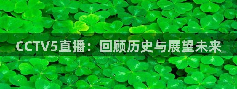 山猫免费体育赛事在线观看：CCTV5直播：回顾历史与展望未来