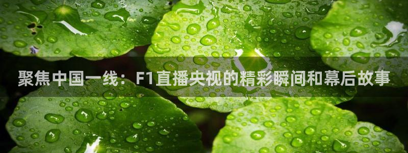 山猫体育免费直播亚冠：聚焦中国一线：F1直播央视的精彩瞬间和幕后故事