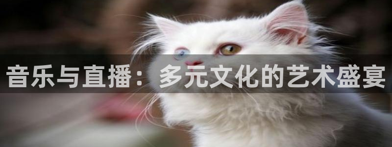山猫体育直播app：音乐与直播：多元文化的艺术盛宴