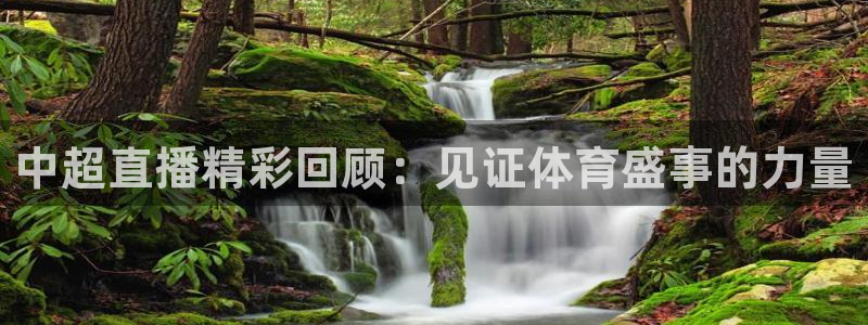 山猫体育nba比赛直播：中超直播精彩回顾：见证体育盛事的力量