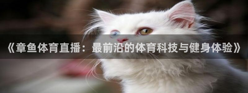 山猫足球直播体育免费观看：《章鱼体育直播：最前沿的体育科技与健身体验》