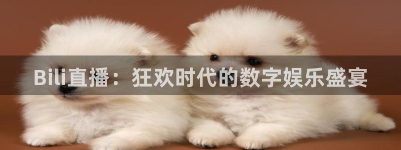 山猫体育直播免费五大联赛：Bili直播：狂欢时代的数字娱乐盛宴