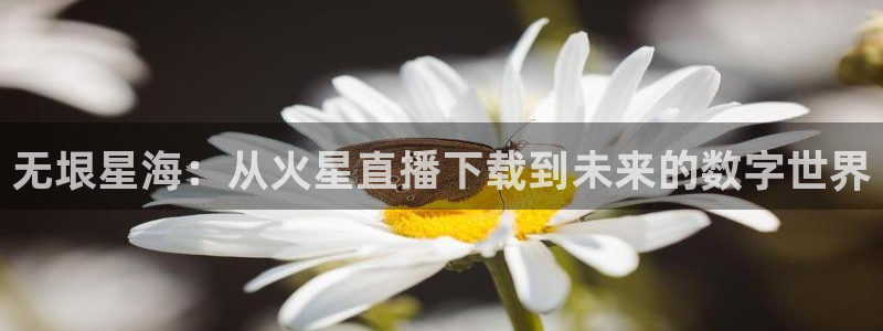 山猫体育免费直播发展联盟：无垠星海：从火星直播下载到未来的数字世界