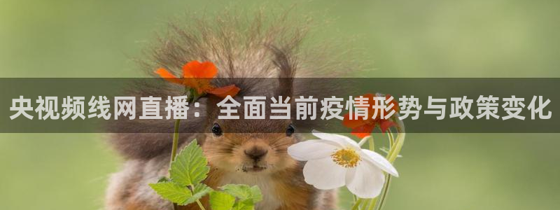 山猫体育免费直播赛事：央视频线网直播：全面当前疫情形势与政策变化