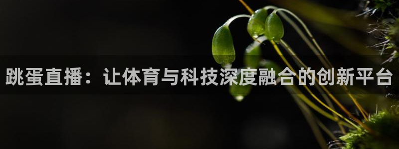 山猫足球直播：跳蛋直播：让体育与科技深度融合的创新平台
