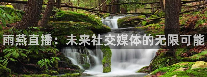 山猫直播免费足球直播：雨燕直播：未来社交媒体的无限可能